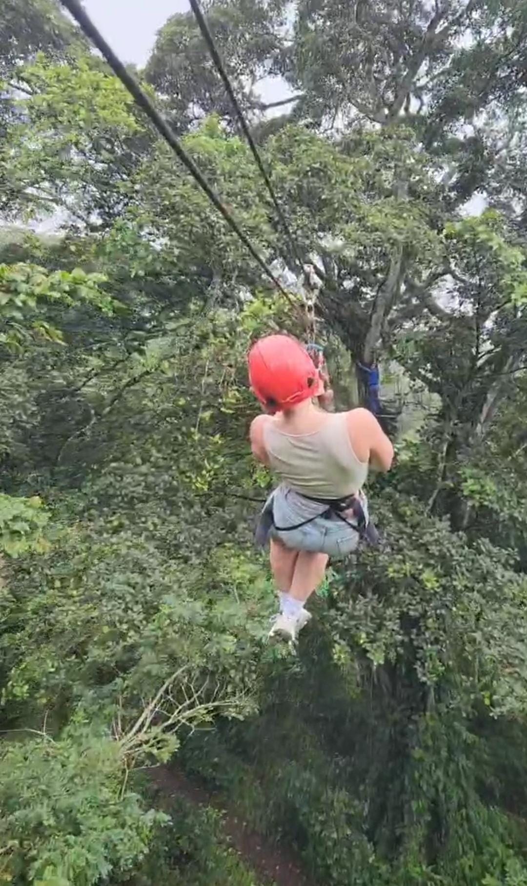 Zip Lines